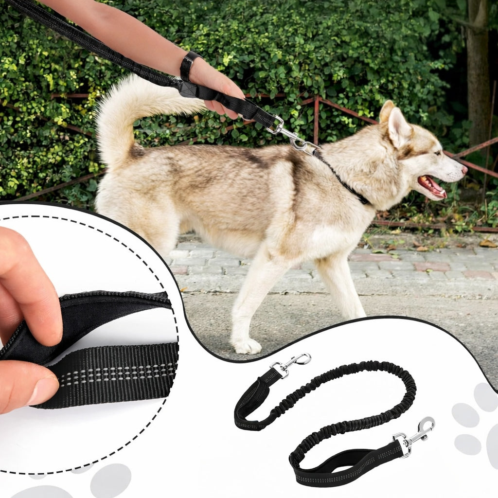 HIP BELT FOR RUNNING WITH DOG LEASH ELASTIC SACHET TREKKING BELT Color black