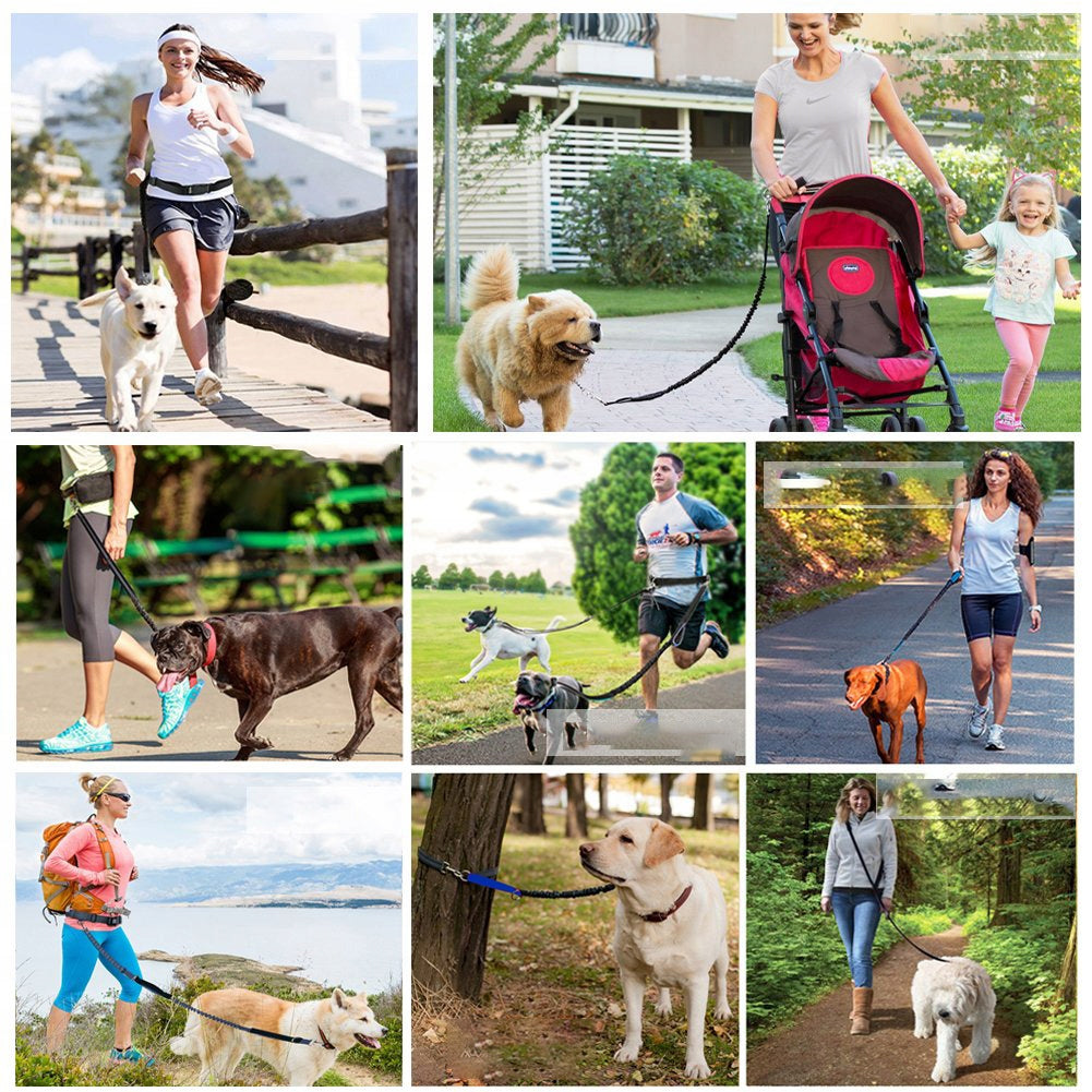 HIP trekking belt with running shock absorber with Dog elastic leash Kind for jogging