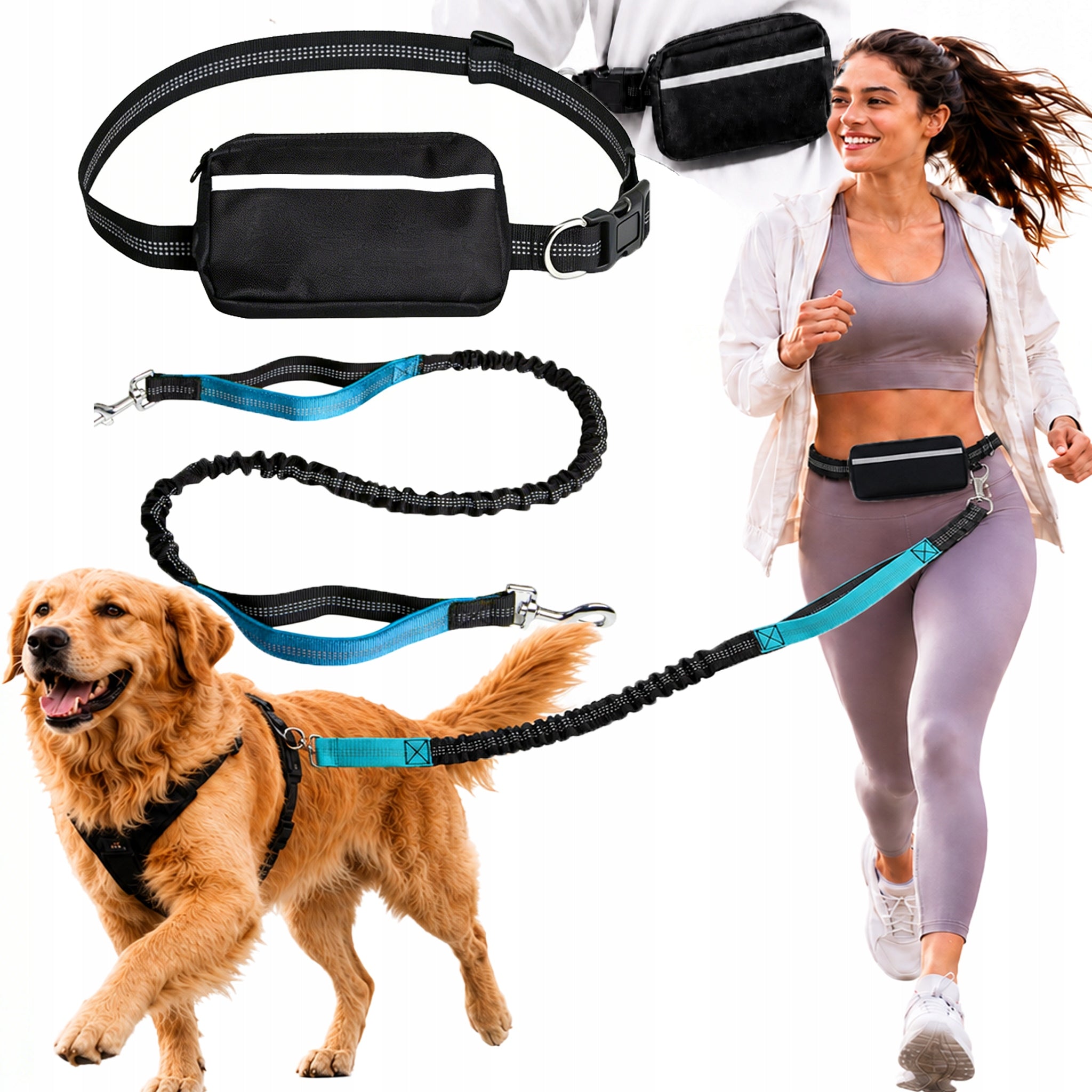 HIP trekking belt with running shock absorber with Dog elastic leash