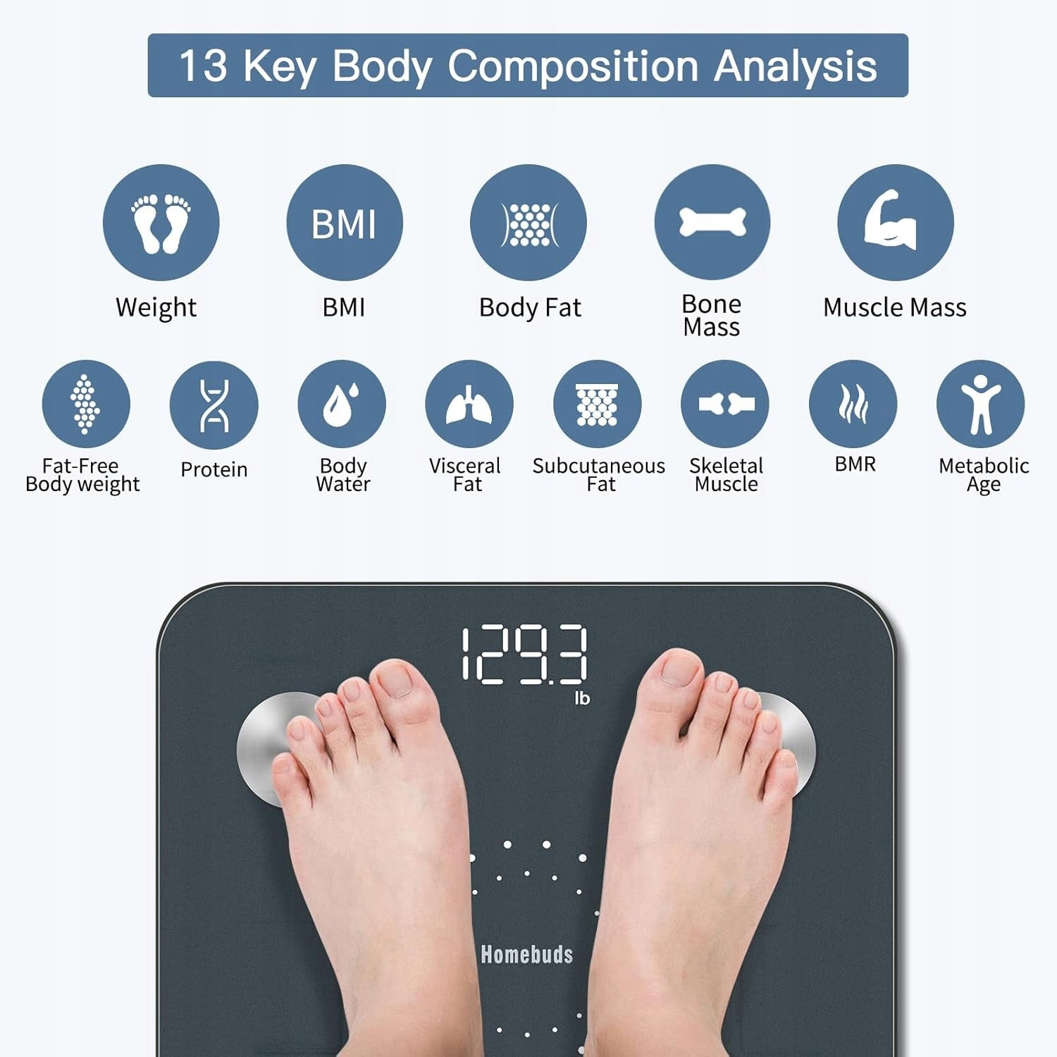HOMEBUDS Smart Body Composition Analysis Scale 400lb Kind electronic