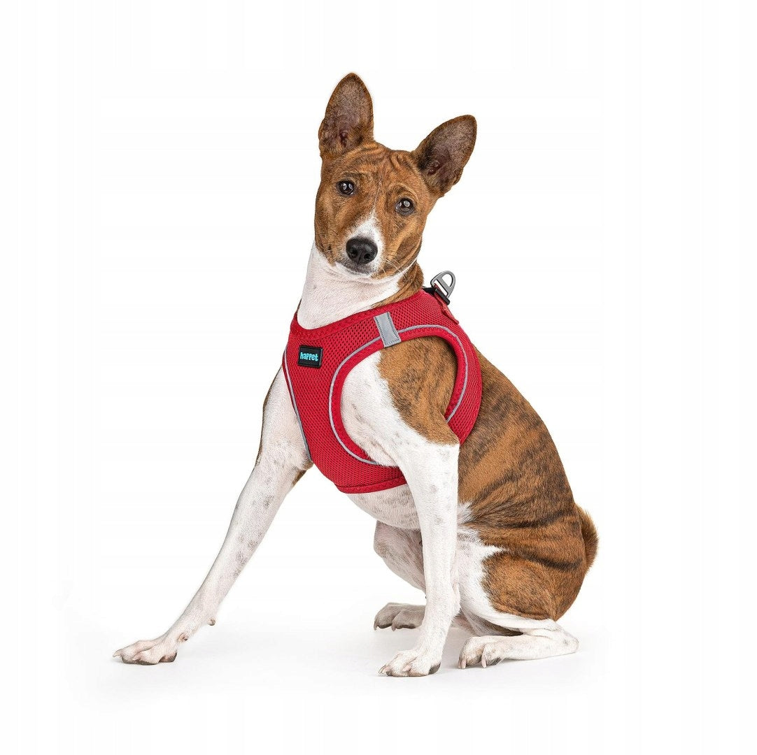 Happet Harness Air Comfort XS red for dog and cat fluffers Trade name Szelki Happet Air Comfort JT12 XS czerwone