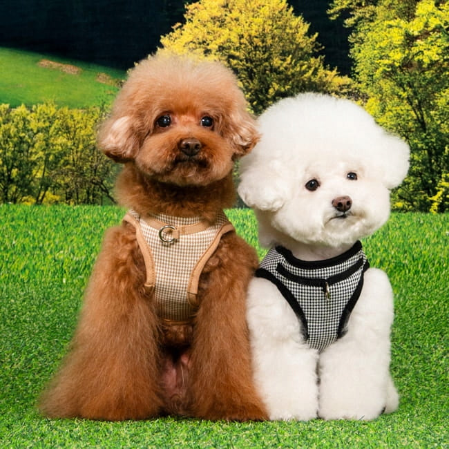 Harness / Vest for dog or cat PUPPIA Amatus Beige - size: S Trade name Szelki / Kamizelka dla psa lub kota PUPPIA Amatus Beige