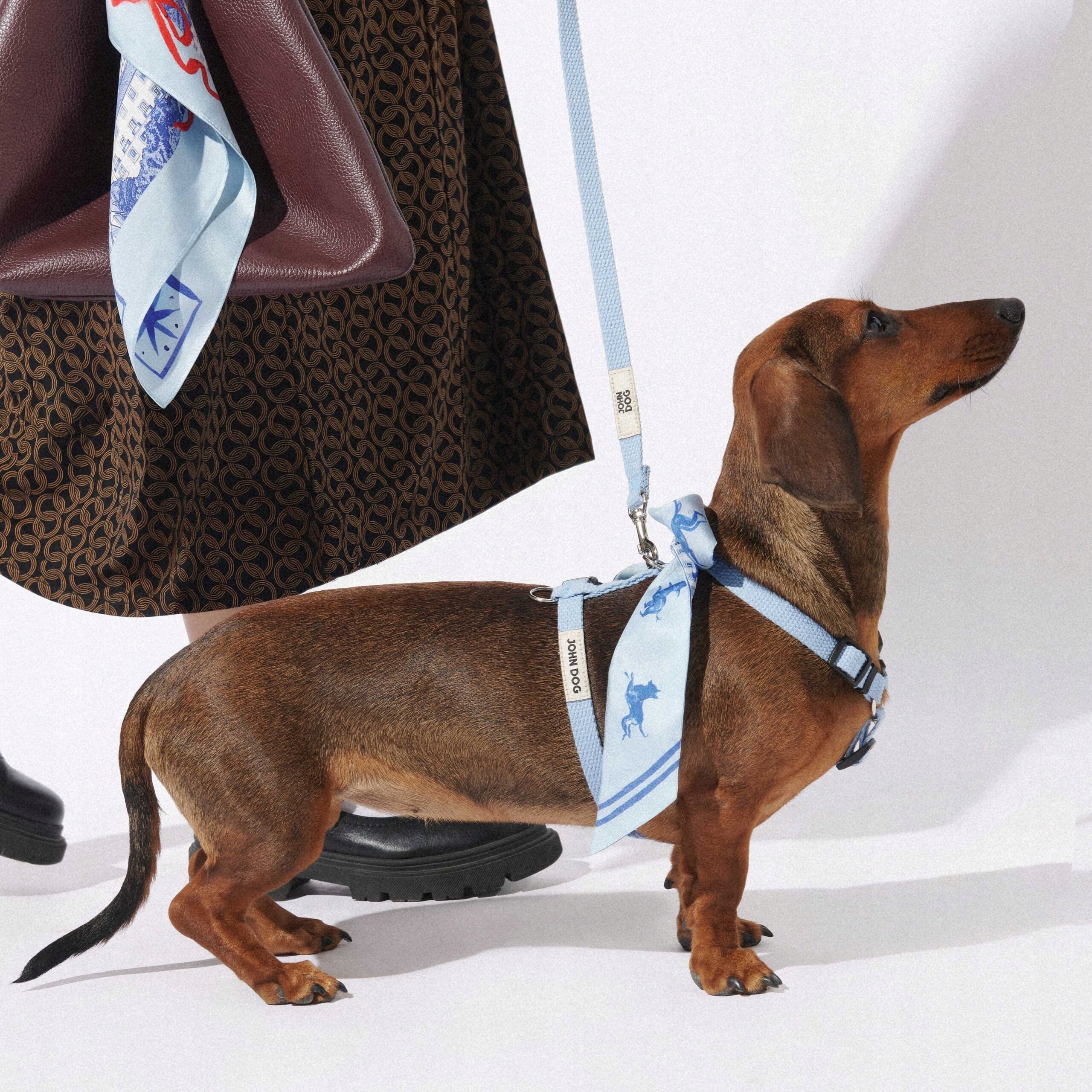 Harness guard for dog light blue John Dog Lisbon M Manufacturer code CJDP2B3LJN2575