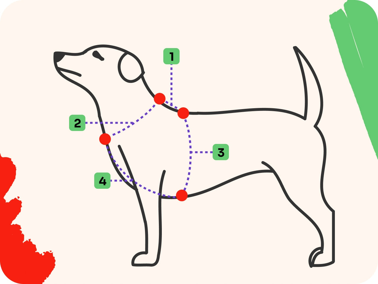 Harness guard for medium dog M |Neon Bloom| comfortable, adjustable colorful Size M