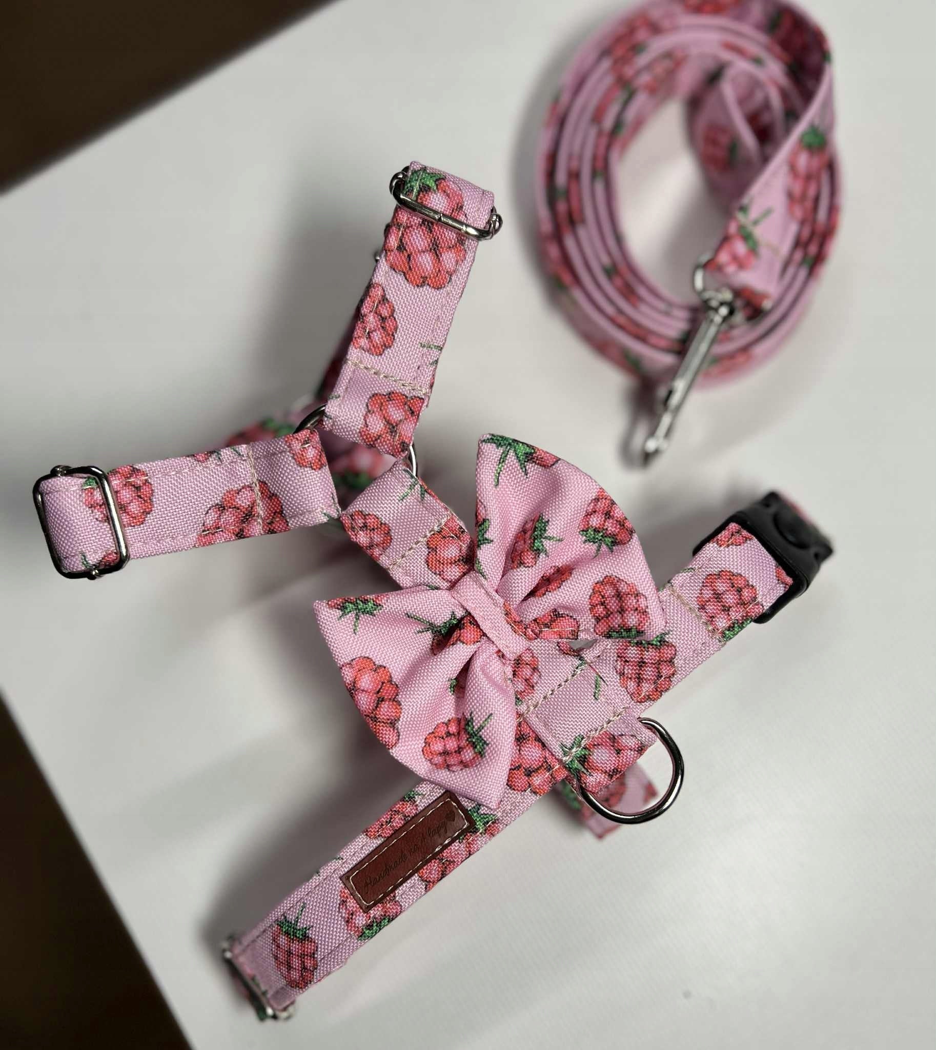 Harness leashes walking sets for dogs harness quard guardy