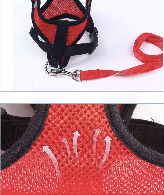 Harness with leash for small dog cat red S reflective pressure-free Brand Okazeo