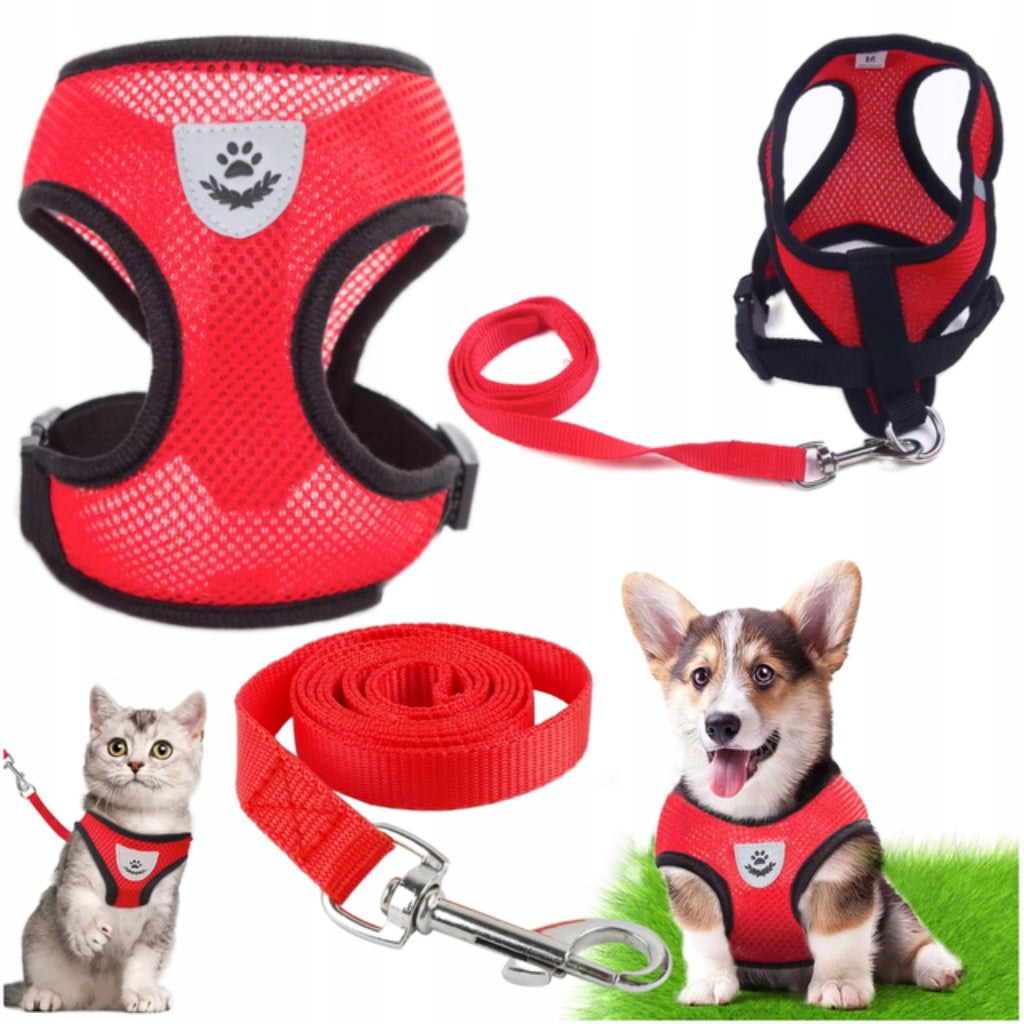 Harness with leash for small dog cat red S reflective pressure-free