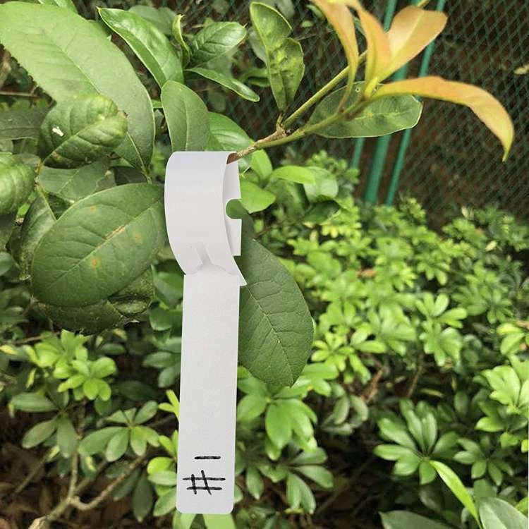 Herbgarden Clamp Labels for Plant Signing 100 Pieces Brand Martom