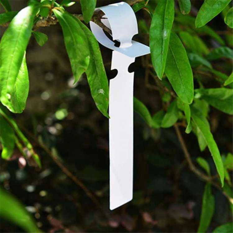Herbgarden Clamp Labels for Plant Signing 100 Pieces Kind tied