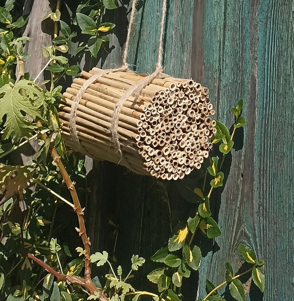 Hotel insect house reed for bee insects scissor pollinators