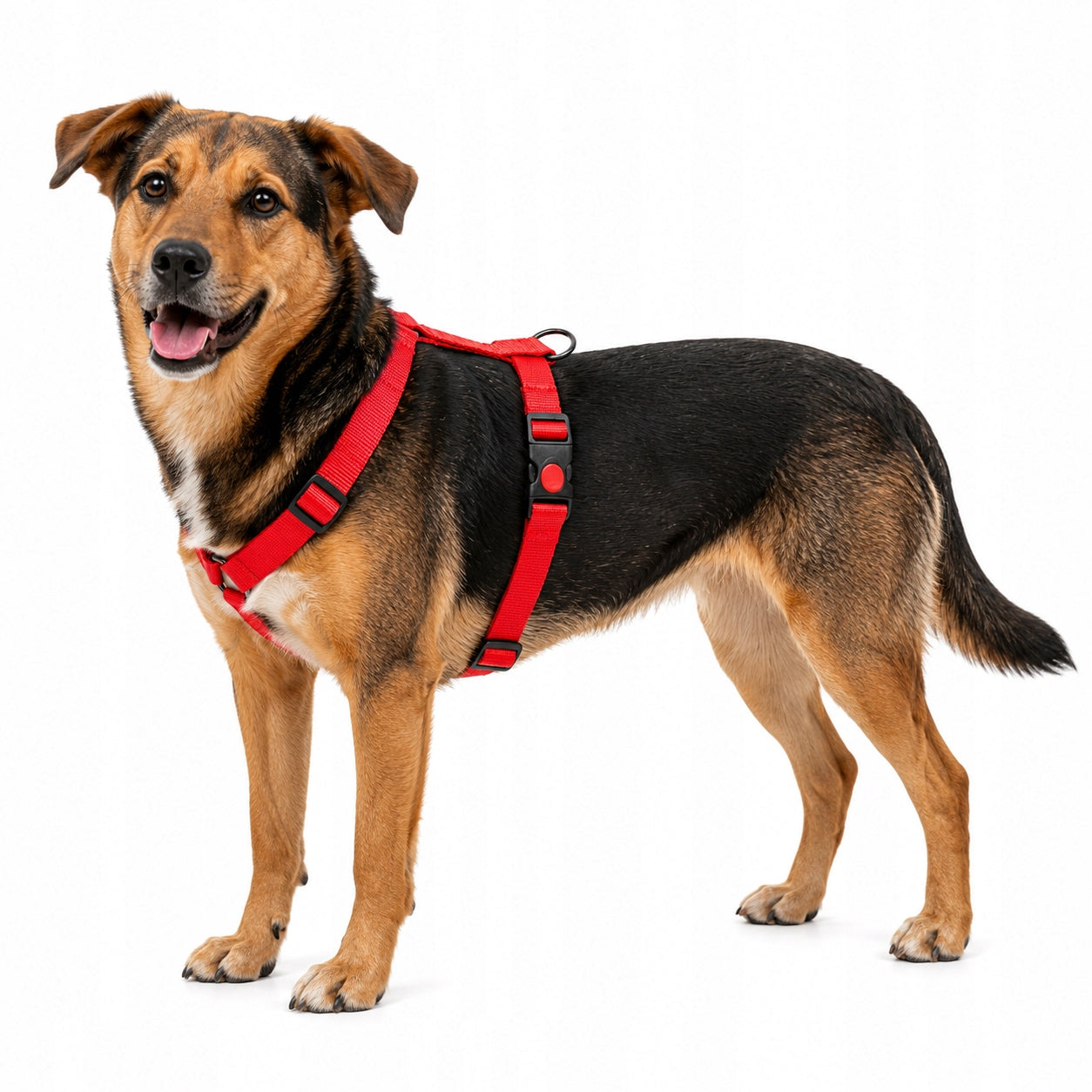 Hunter DOG HARNESS ADJUSTABLE SMOOTHLY STRONG PRESSURE-FREE Size M-L Packaging status original