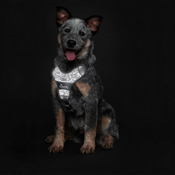 Hunter Dog Harness Divo Reflect black S/M Manufacturer code 68960
