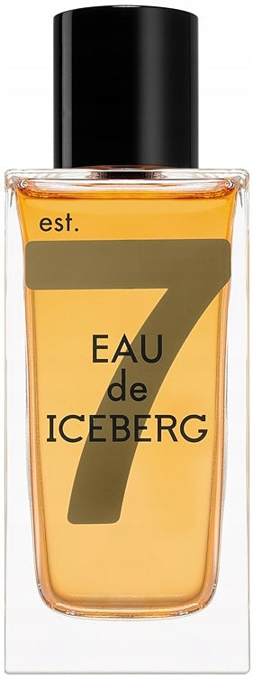 ICEBERG EAU DE ICEBERG AMBER FOR HIM EDT 100ML ORIGINAL Packaging status original