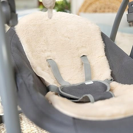 INGENUITY SWING ROCKER EVERY SEASON SWING 'N GO WESLEY 0M+ Brand Ingenuity