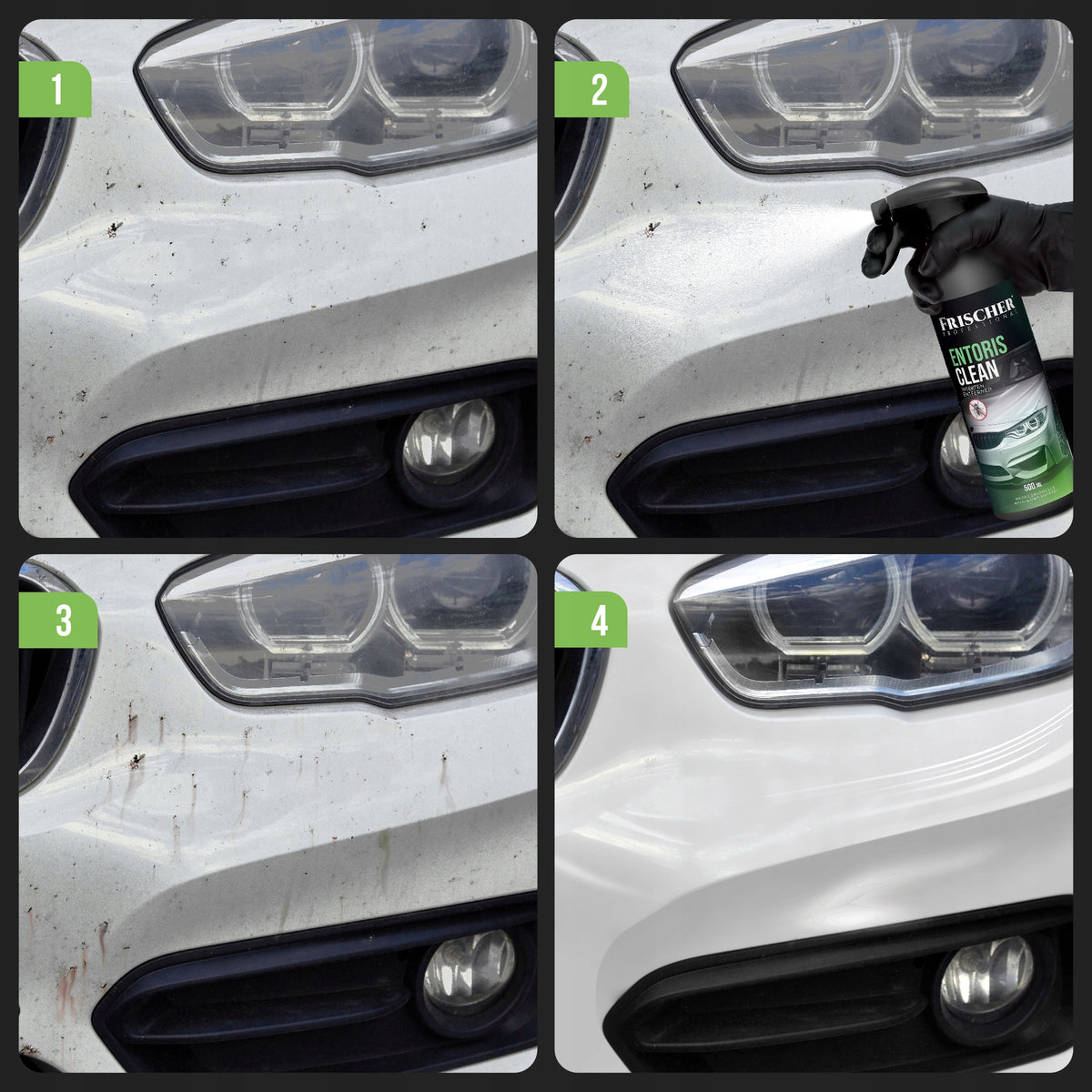 INSECT REMOVER FROM THE BODY 1000ml FRISCHER PROFESSIONAL Packaging capacity 1000 ml