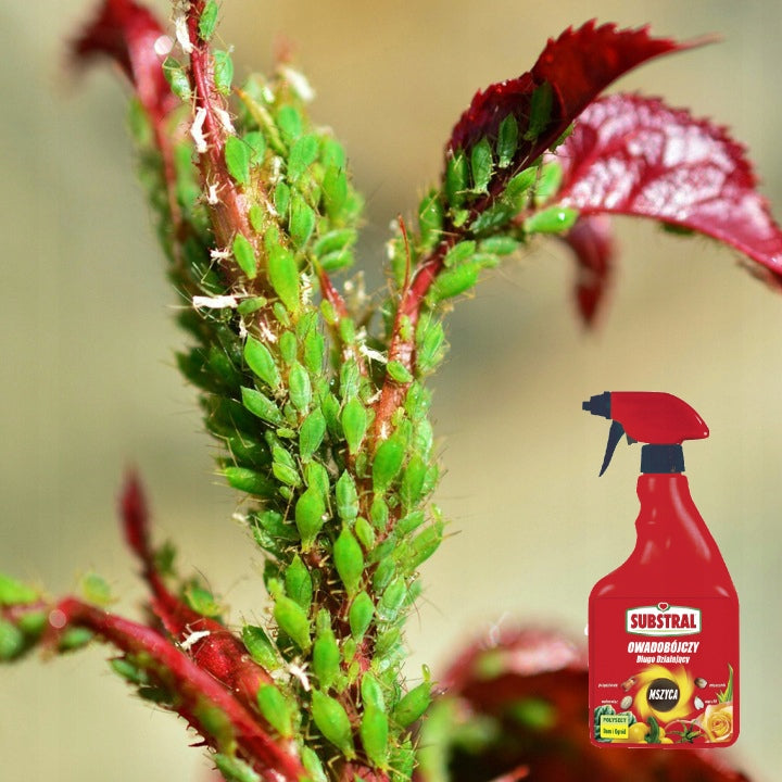 INSECTICIDE Substral Polysect Hobby Liquid 750 ml Volume 0.75 l