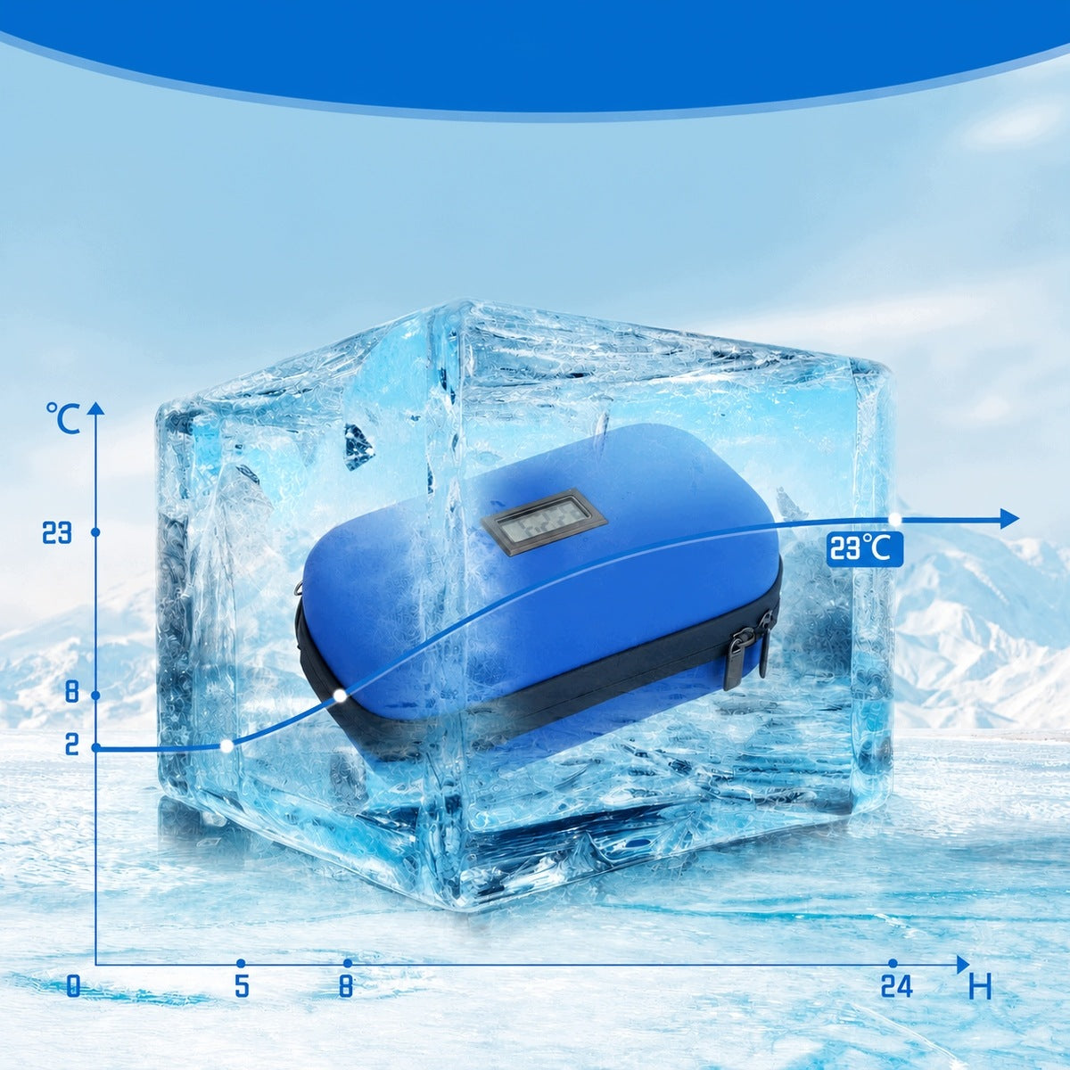 INSULIN COOLING CASE FOR DIABETIC + 2 CARTRIDGES Packaging status original
