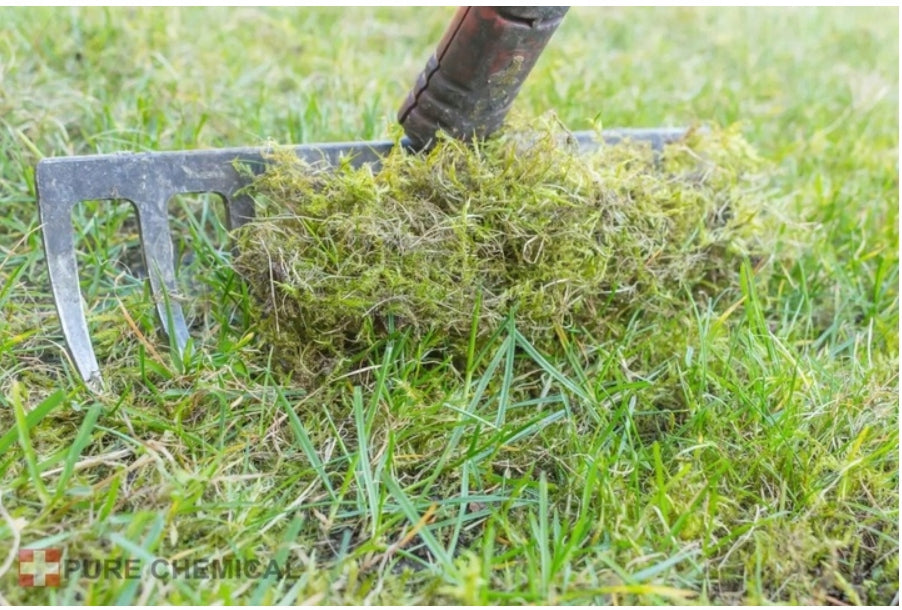 IRON SULFATE FOR LAWN MOSS 5KG HEPTAHYDRATE LOOSE CLEAN BUCKET Form powder