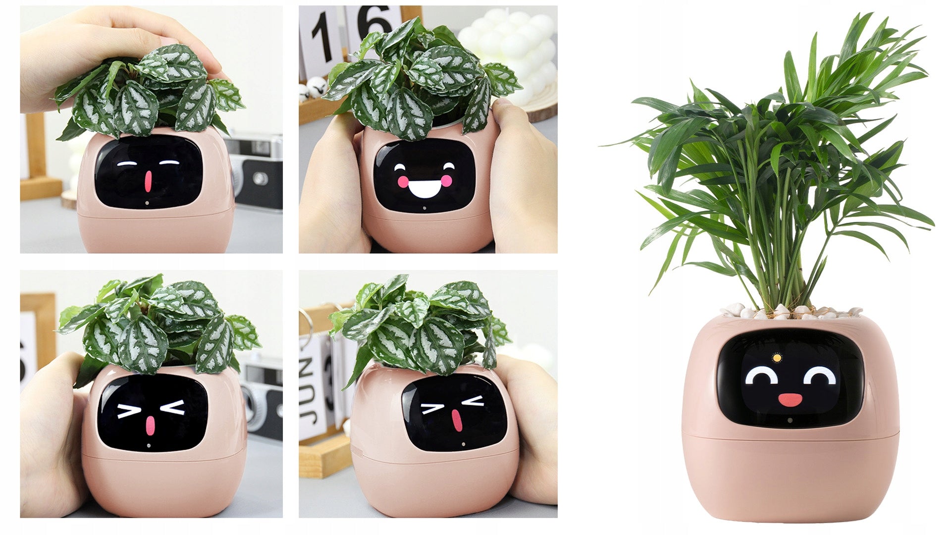 IVY PLANTER Flower Pot Smart Cover SMART Planter Gardening Tips Material synthetic material