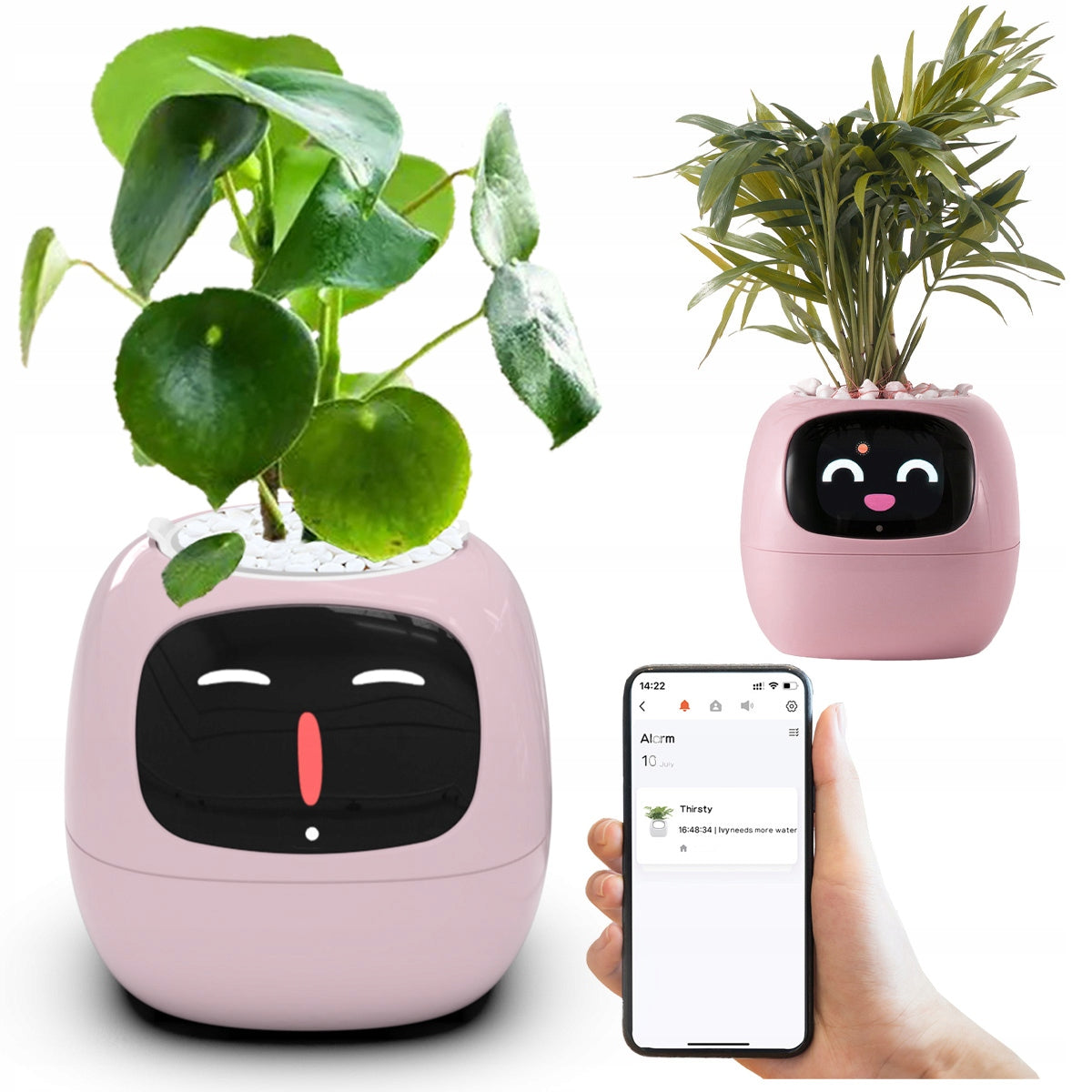 IVY PLANTER Flower Pot Smart Cover SMART Planter Gardening Tips