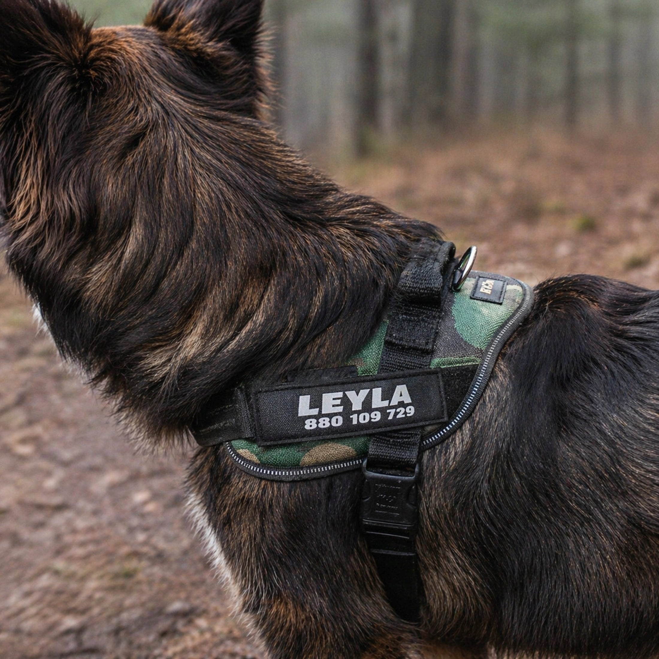 Identifier fits Julius-K9 harness address card 11x3 reflective inscription Kind other