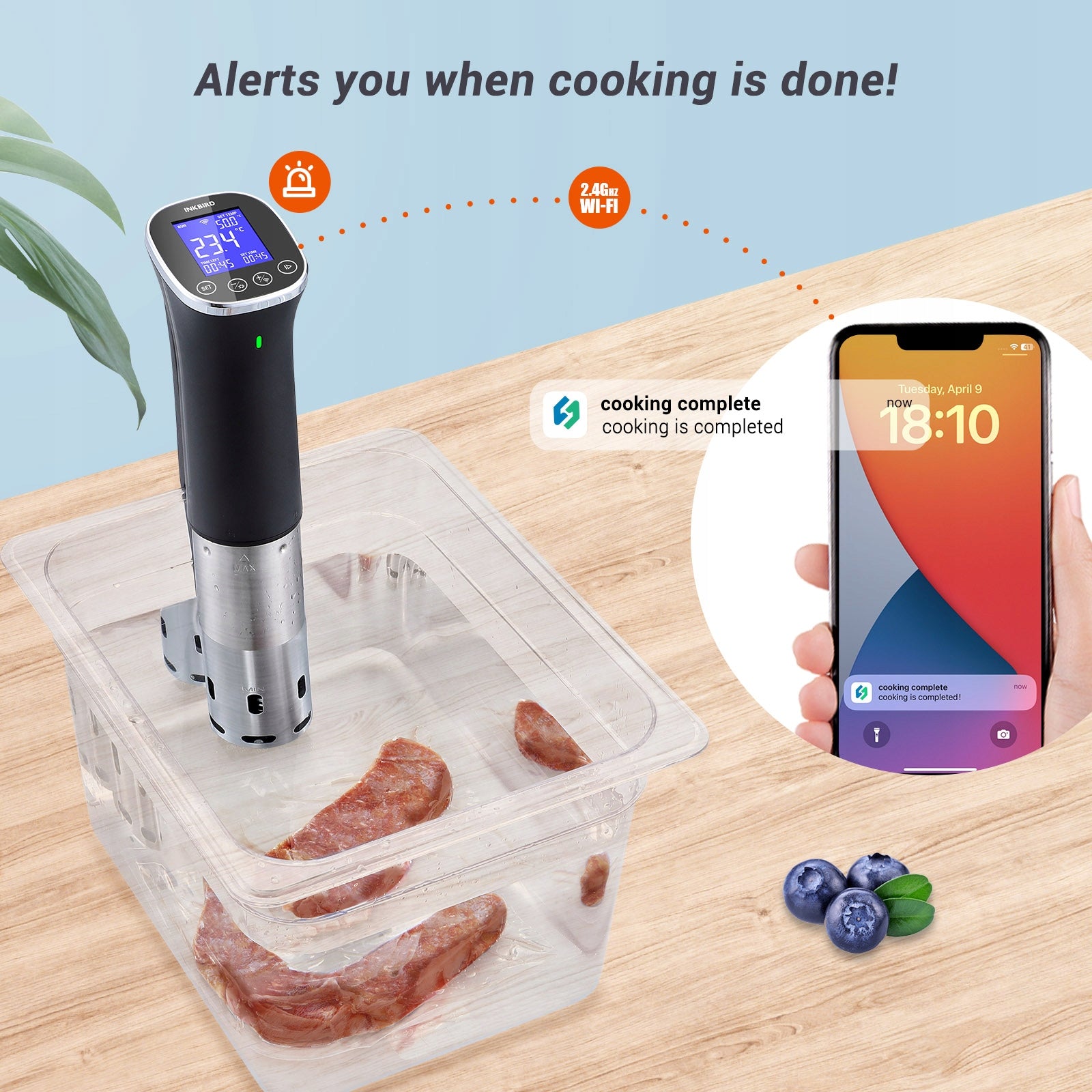 Inkbird ISV-300W WiFi Sous Vide Machine IPX7 Waterproof Booking Function Brand Inkbird