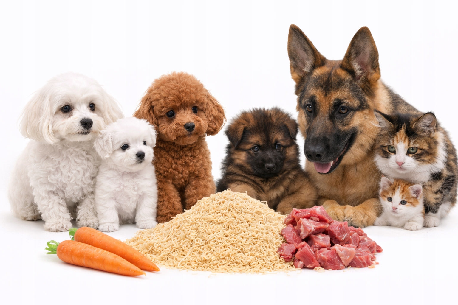 Instant Pasta CLEAN for Dog and Cat WITHOUT ADDITIVES Instant 5kg FOOD