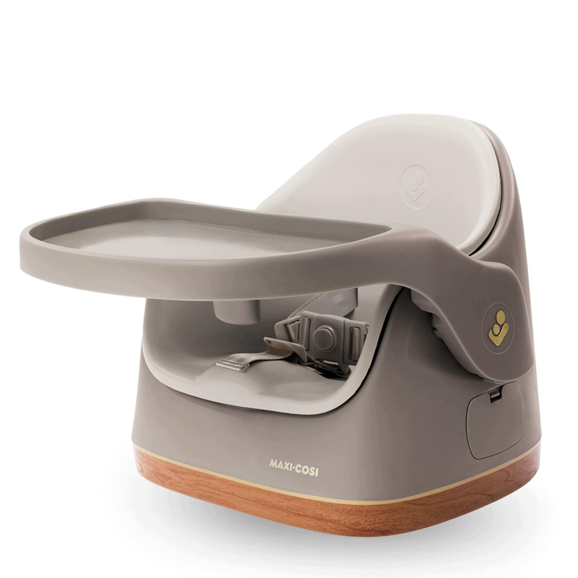 JAY BOOSTER SEAT AND HIGH CHAIR FOR INFANTS 2 IN 1 6