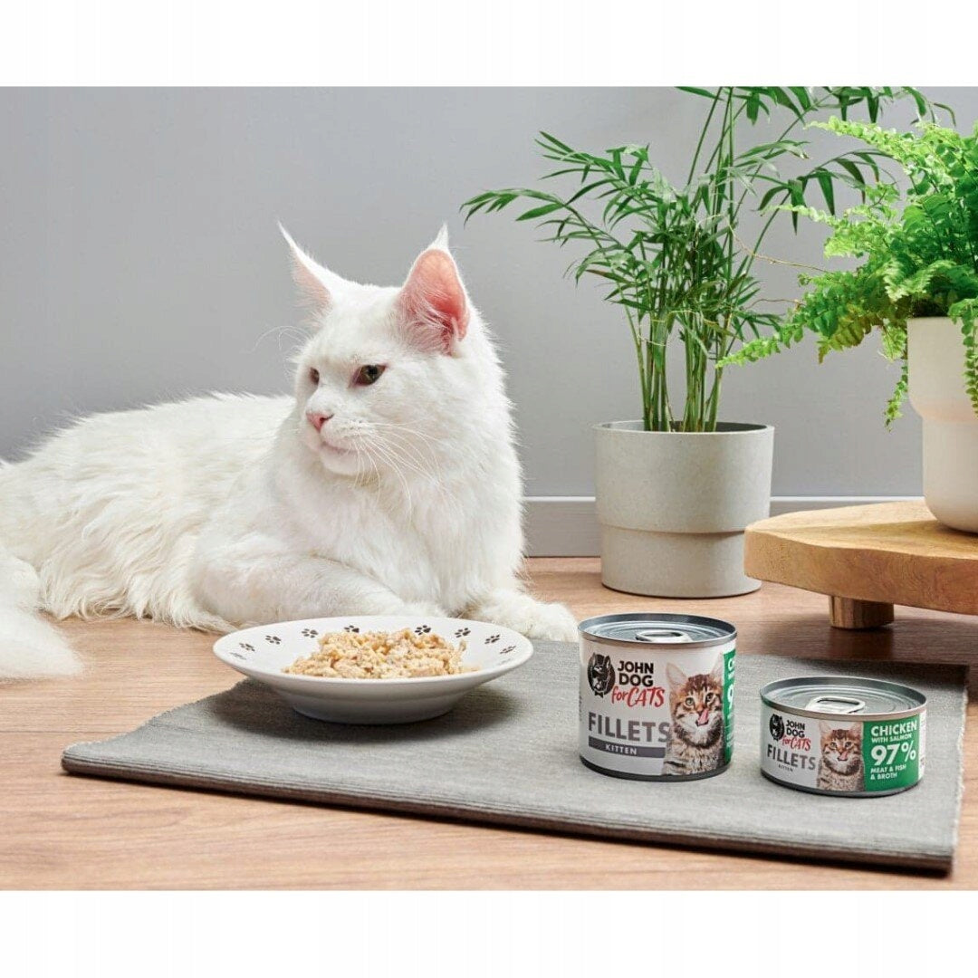 JOHN DOG FOR CATS CHICKEN SALMON FOR KITTENS 70g Brand John Dog for Cats