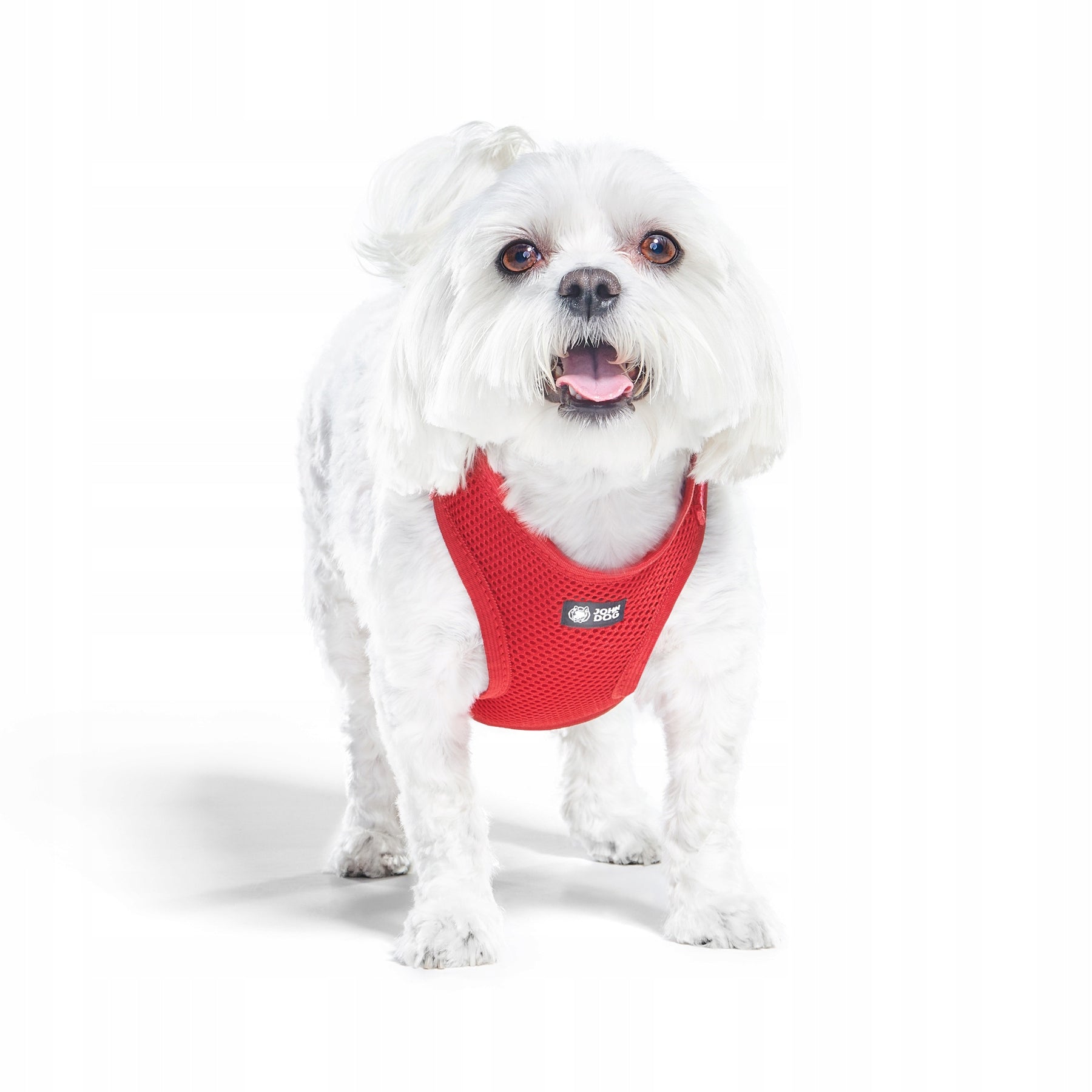 John Dog Black pressure-free harness red M