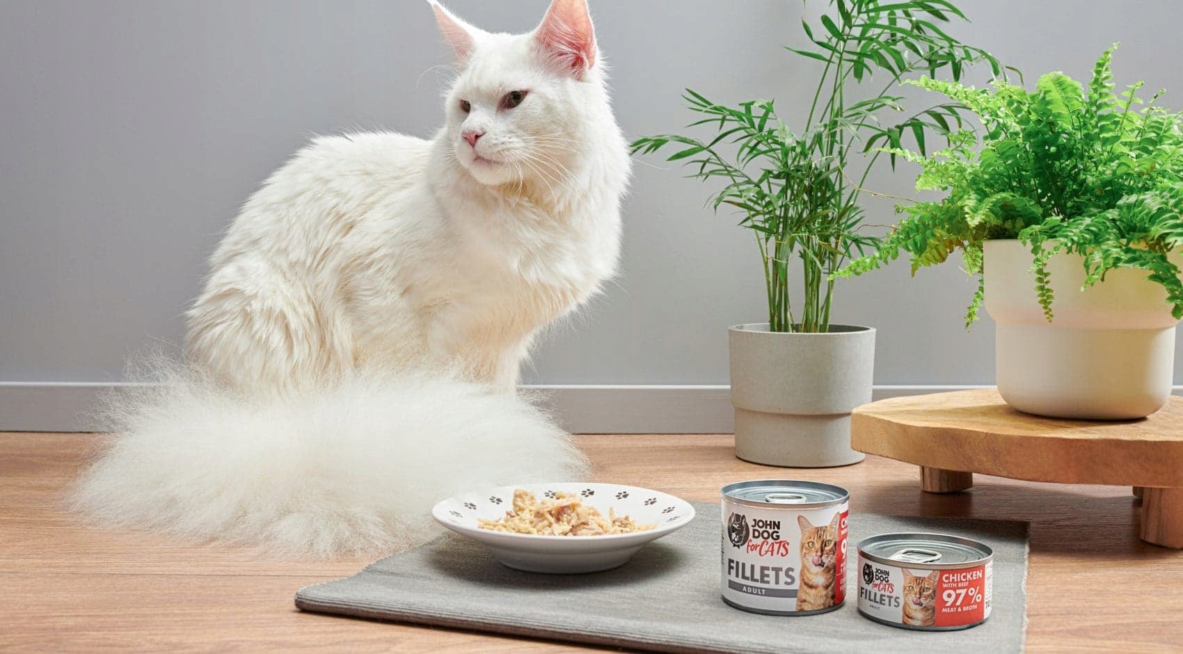 John Dog for Cats Chicken and Beef Fillets 70g EAN (GTIN) 5903769009367