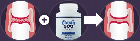 Joints at a High Level - Flexin500! Health and Fitness Form capsules