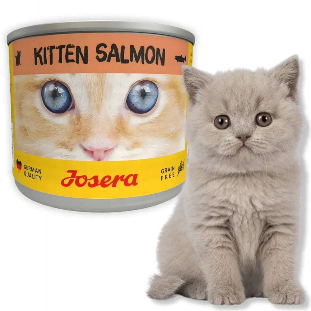 Josera Kitten Salmon 200g Grain Free Wet Cat Food in Sauce