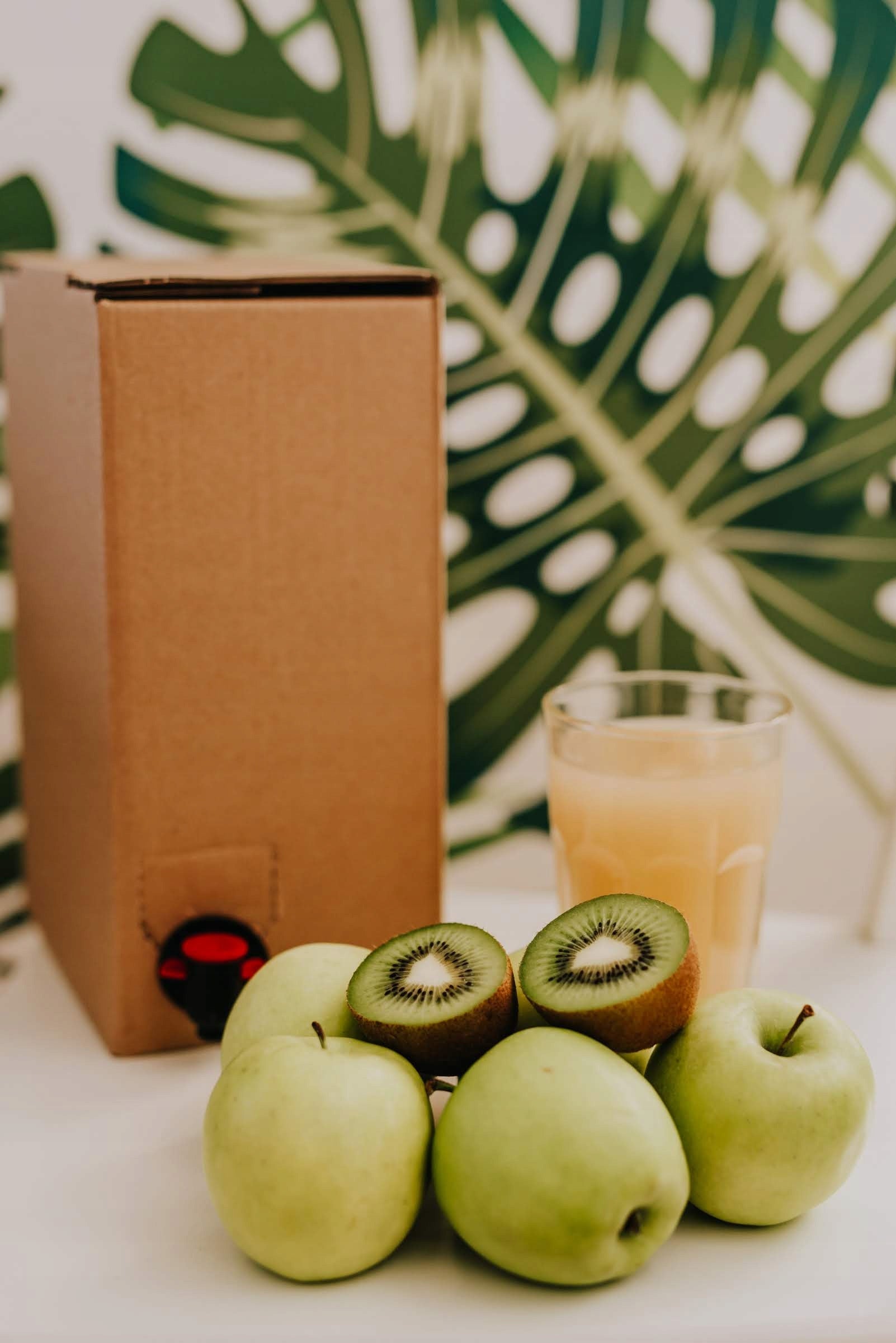 Juice Apple Kiwi Pressed Natural NFC 100% 5 Liters Manufacturer code TS-JKIWI-5L