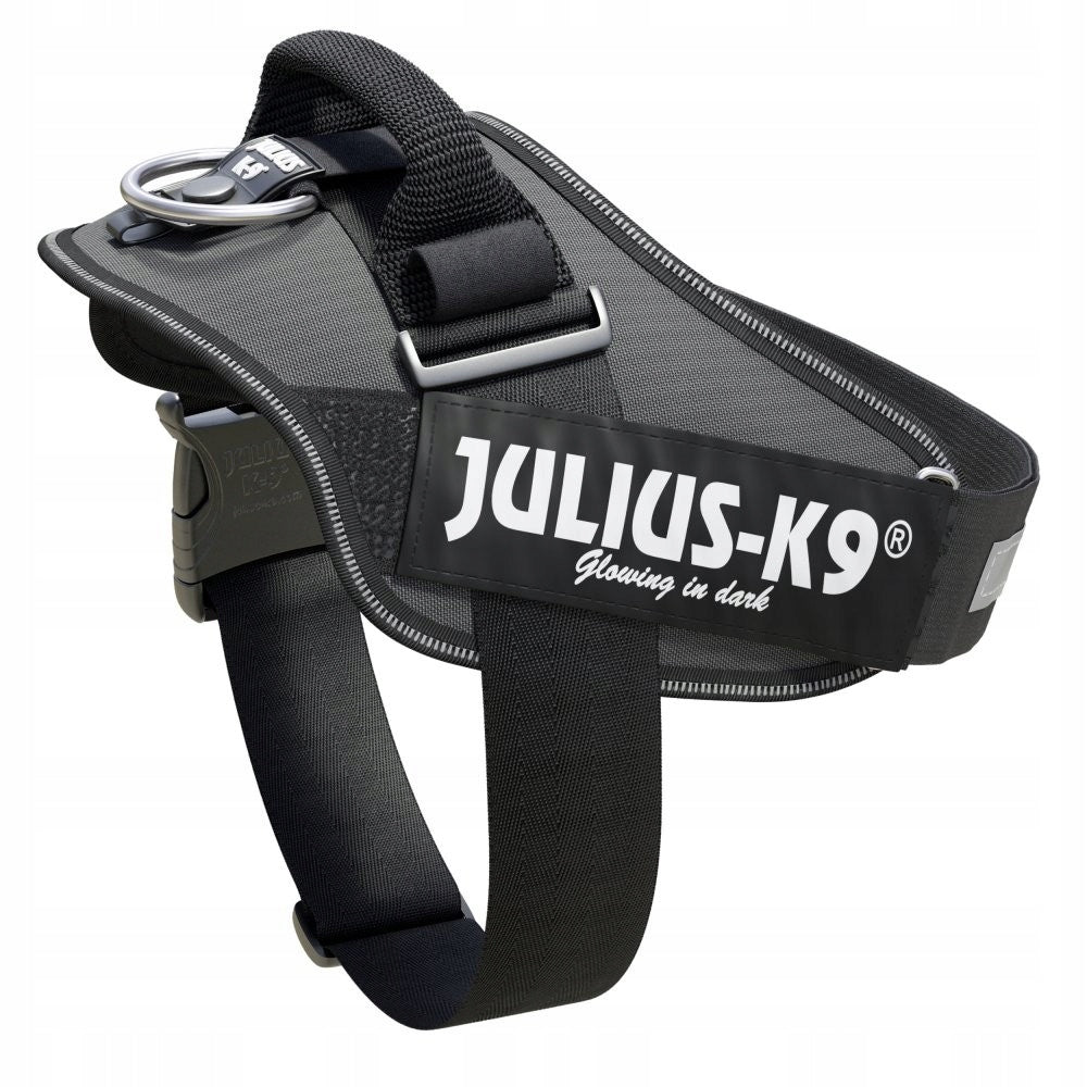 Julius-K9 IDC Powerharness Gray, Premium Grey Braces, Size 2 Size L
