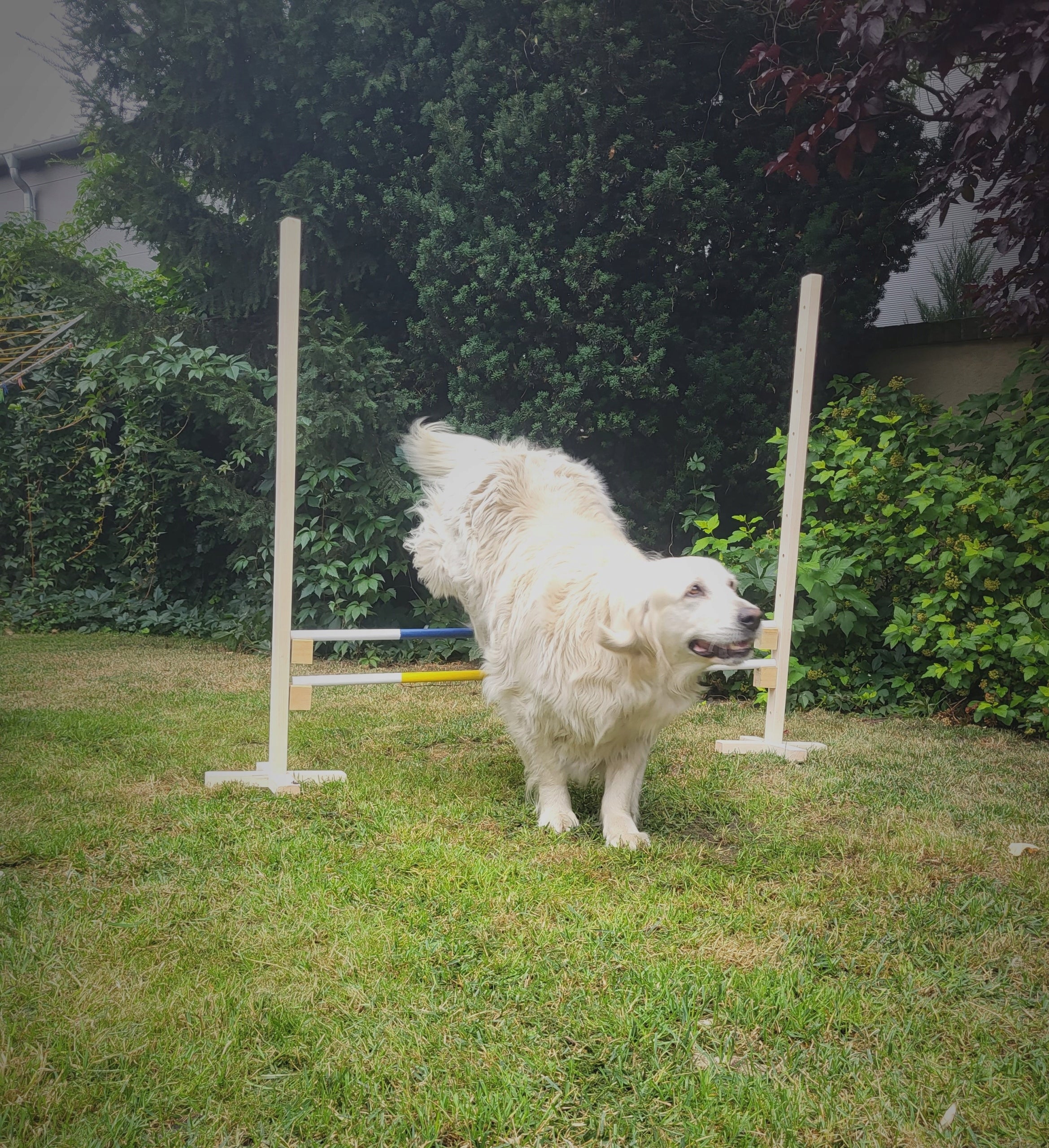 Jump obstacle for Hobby Horse -120 x120 1 bar Product height 120 cm