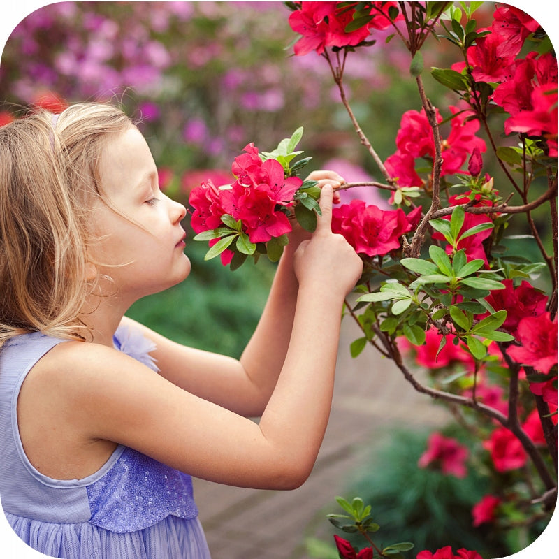 KARATE SPRAY RTU 1L AGENT SPRAYING APHIDS CATERPILLARS THRIPS SPIDER MITES Manufacturer code wciornastki mszyca gąsienice motyli sprej