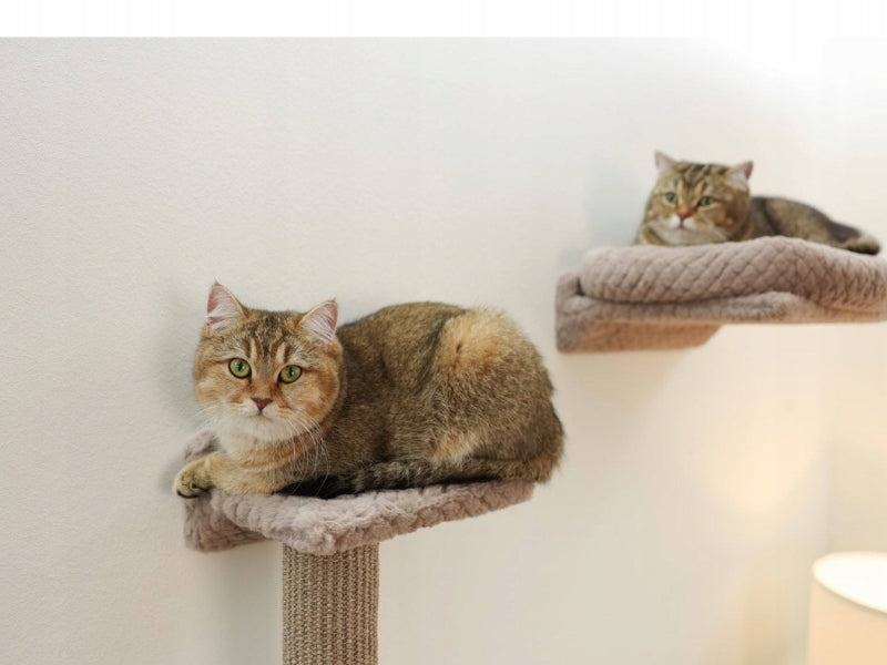 KERBL Monte Alpi Cat set bed shelf sisal scratching post for wall 8 el Number of levels over 5
