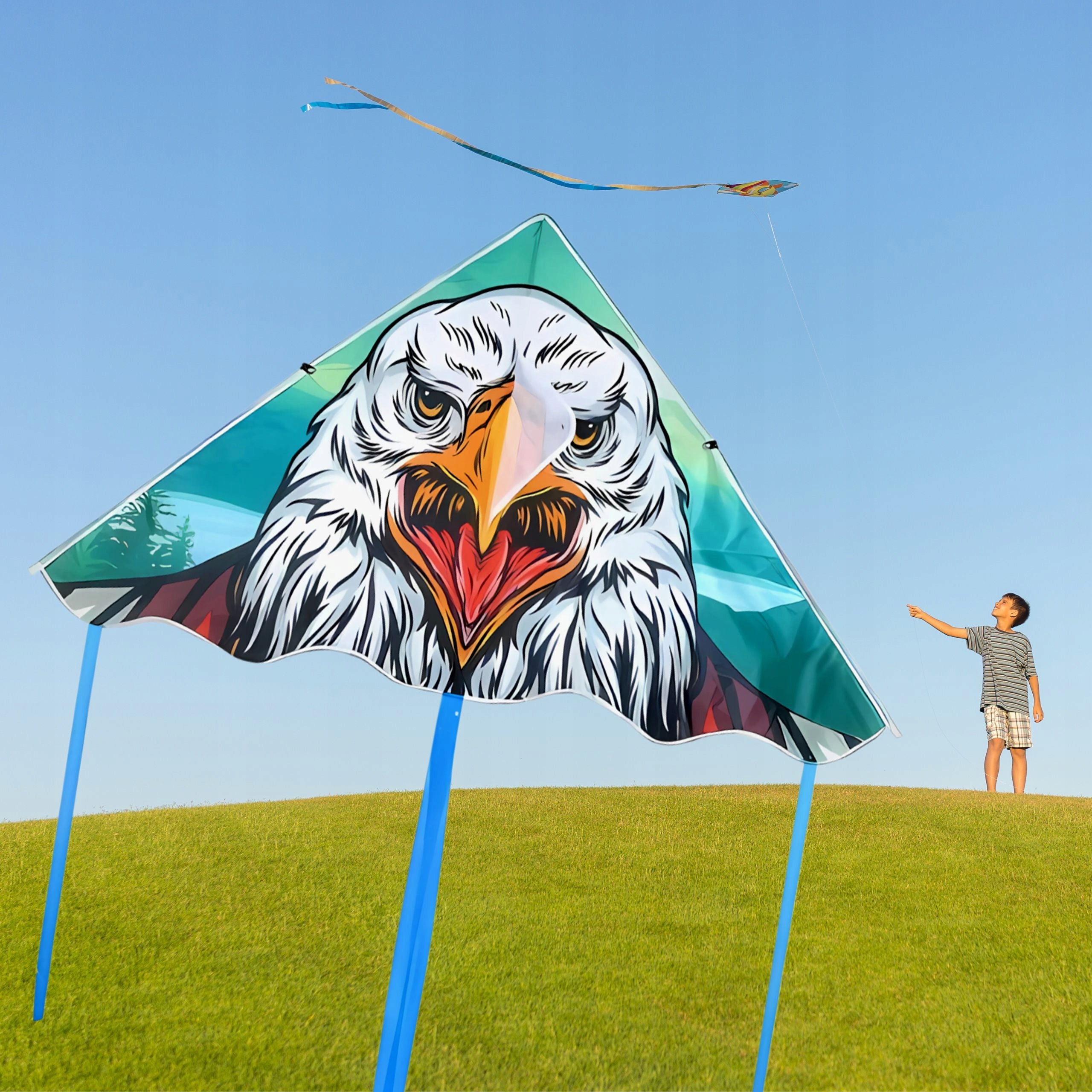 KITE FOR CHILDREN WITH RIBBONS CABLE COLORFUL LARGE 150cm MIX TRIANGULAR V2 Manufacturer code latawiec dla dzieci PROFI ID