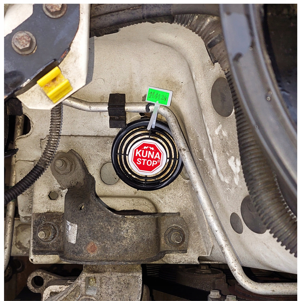 KUN REPELLENT Fragrance PREPARATION FOR MARTENS - PROTECTION OF THE ENGINE COMPARTMENT Kind repellent