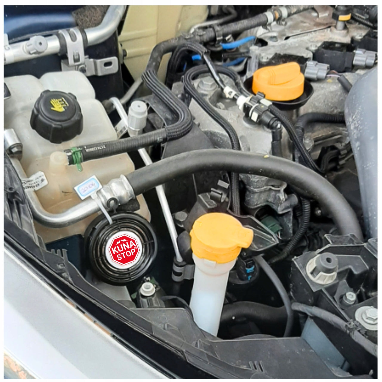 KUN REPELLENT Fragrance PREPARATION FOR MARTENS - PROTECTION OF THE ENGINE COMPARTMENT Manufacturer code ODSTRASZACZ STOP