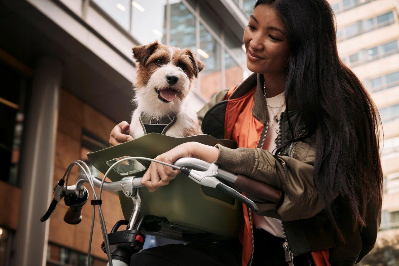 KVISP green S bicycle basket for dogs Product height 35 cm