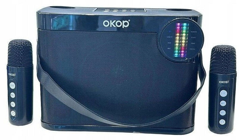 Karaoke speaker with 2 microphones USB cable