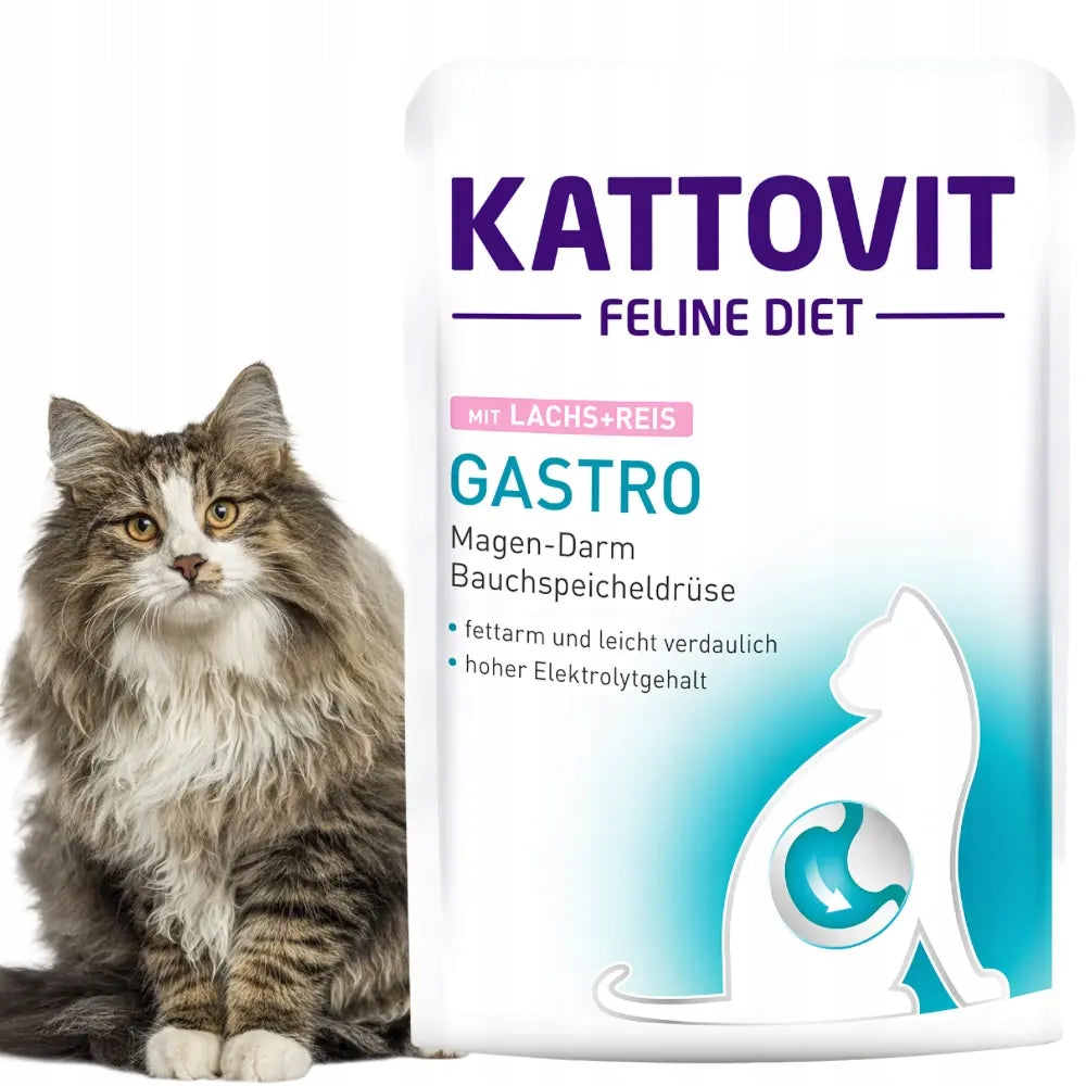 Kattovit Gastro Salmon with rice 85g Wet cat food intestinal stomach