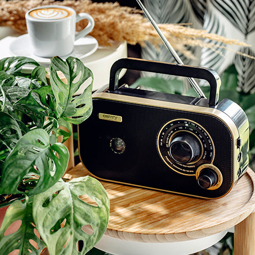 Kitchen Radio Portable Battery Powered FM/AM Camry CR 1910g Brand Camry