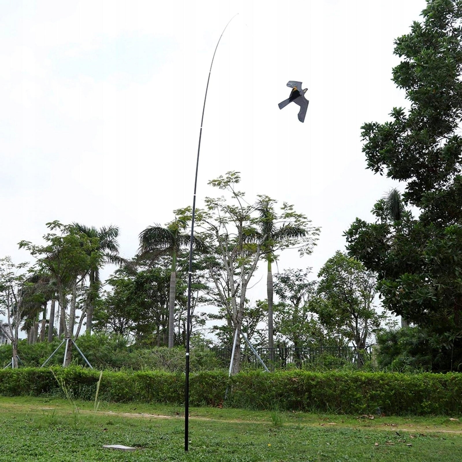 Kite Bird Repellent Falcon Hawk Set with Telescopic Mast 5m Certificates of conformity CE