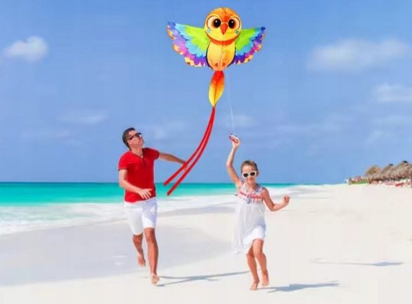 Kites flying toys kite SOWA for children FUN OUTDOORS FREEBIE Manufacturer code DX6LL