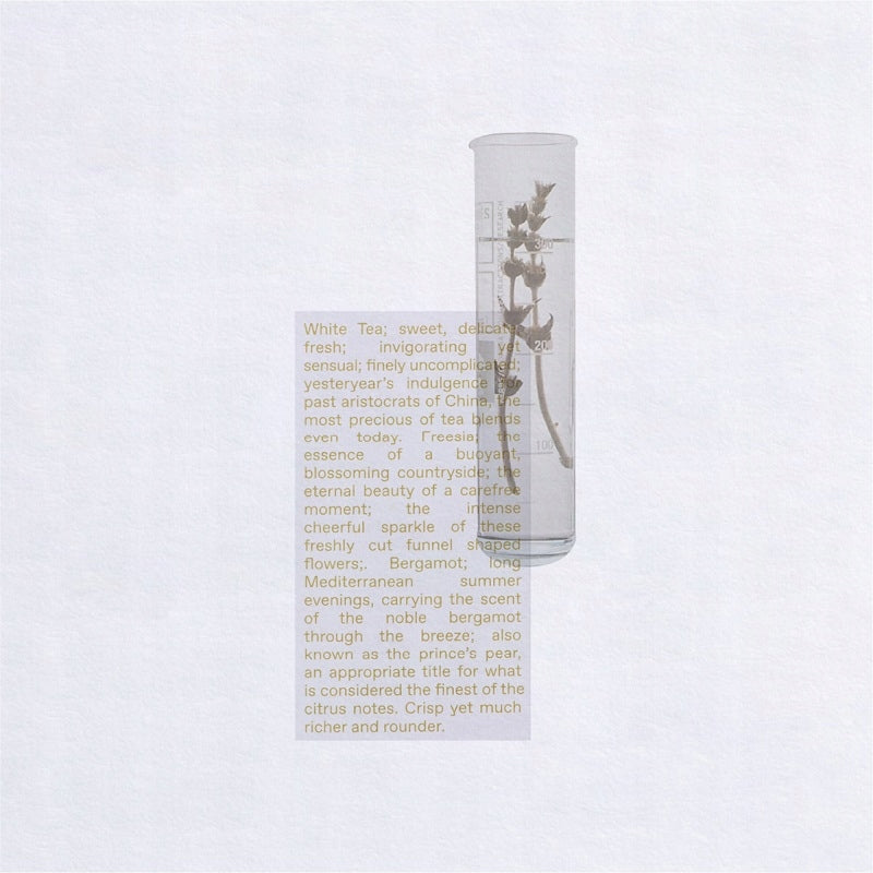 Korres White Tea Eau de toilette 10 ml Packaging volume 10 ml