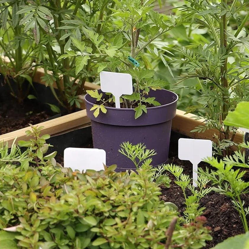 LABEL PLATE MARKERS FOR DESCRIBING PLANTS OF SEEDLINGS 50PCS/SET Number of pieces 50 pcs