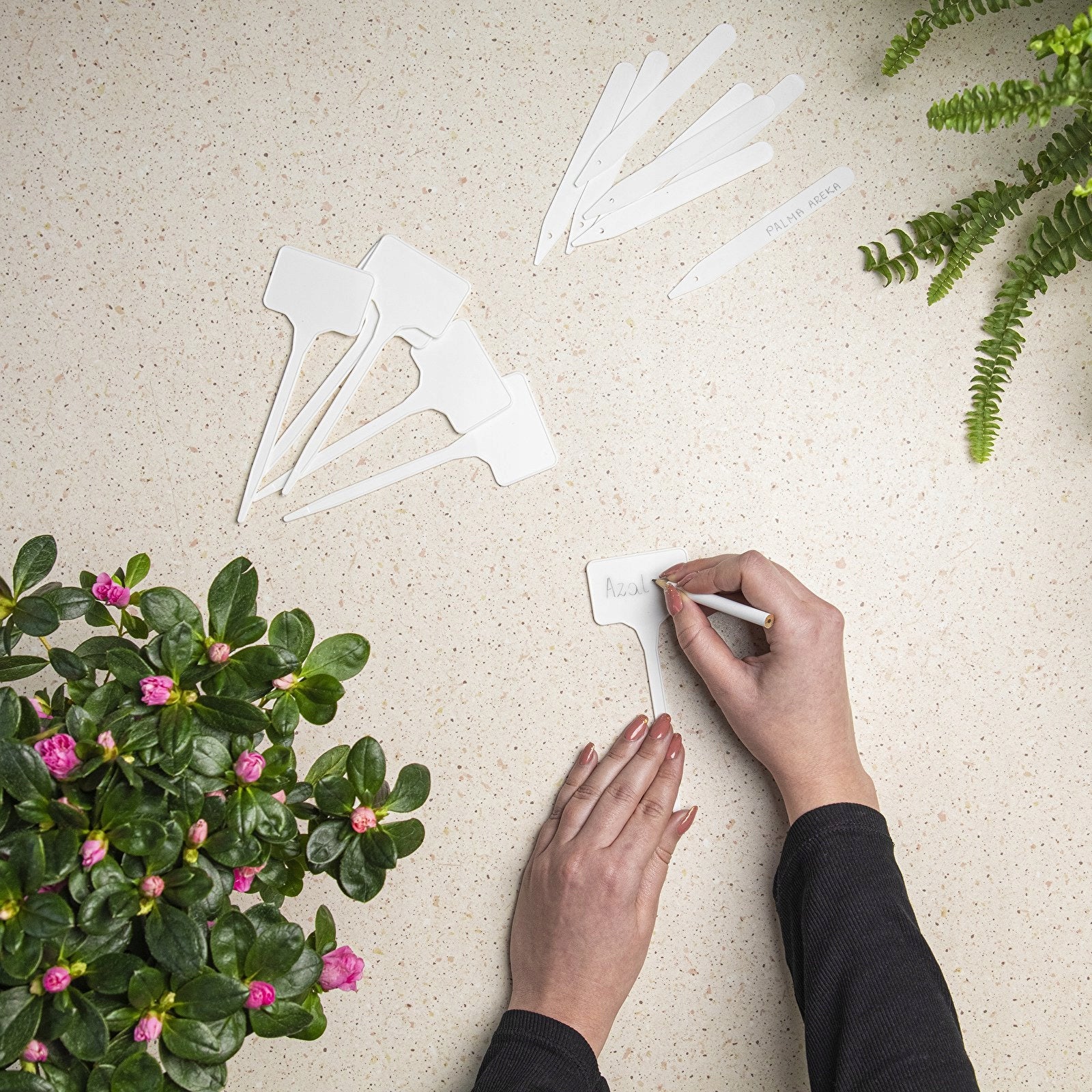 LABEL PLATES FOR DESCRIPTION OF PLANTS FLOWERS HERBS GARDEN 30 pcs WHITE Brand RIM Kowalczyk